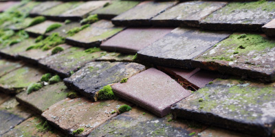 Hagley roof repair costs